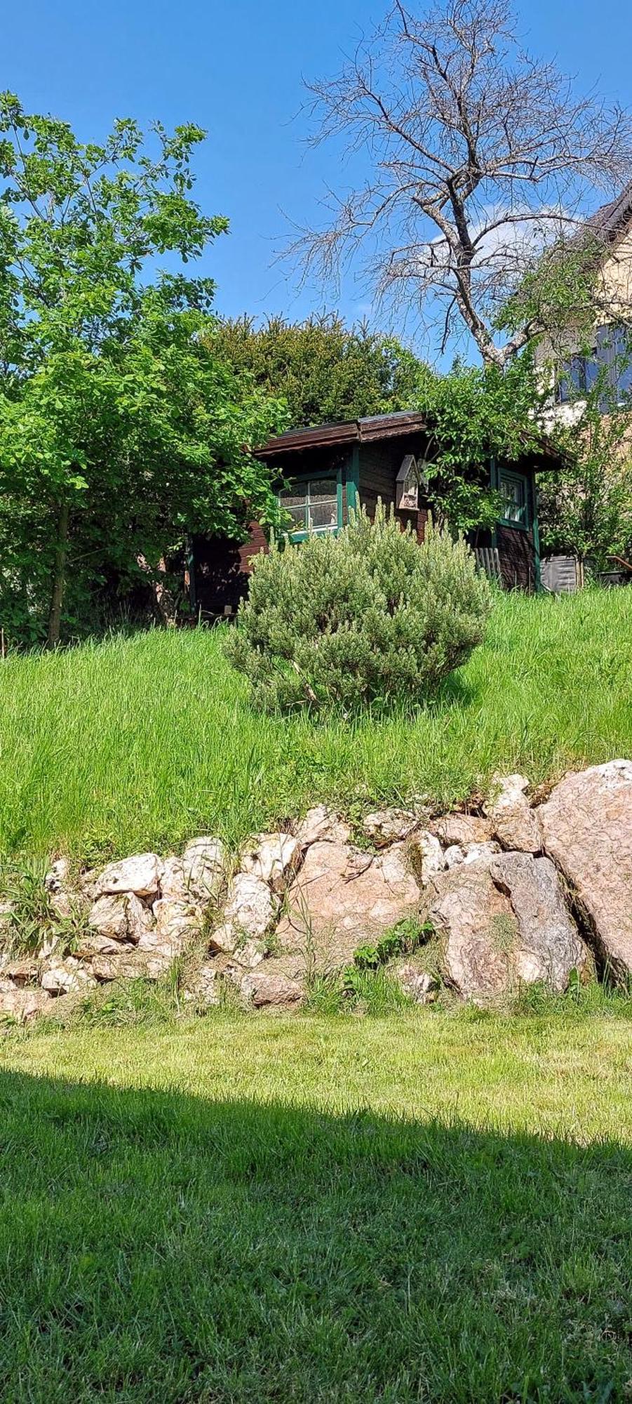 Huettenflair-Mosel Ferienwohnung 엔키르흐 외부 사진