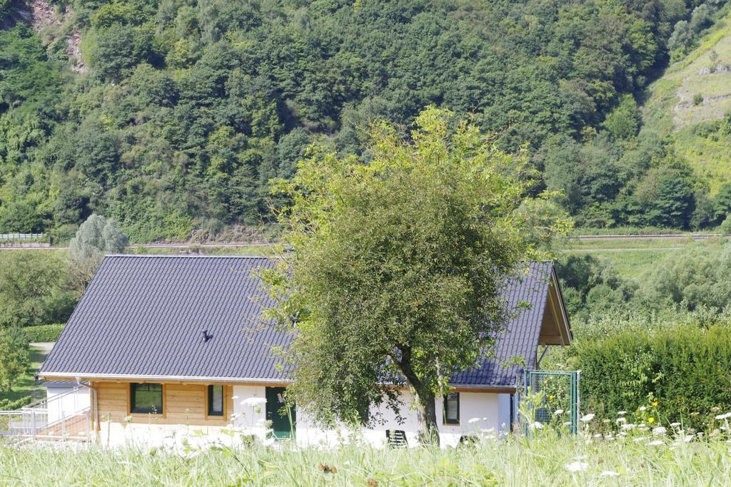 Huettenflair-Mosel Ferienwohnung 엔키르흐 외부 사진